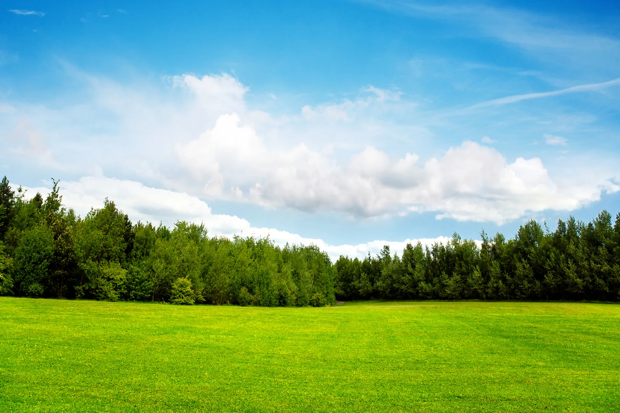 Sell Your Land In Greenville Fast Home Sales
