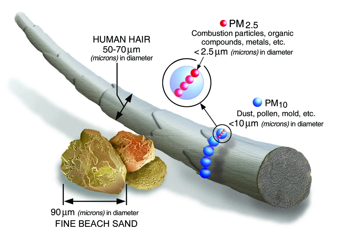 Size Comparisons For Pm Particles Science Learning Hub