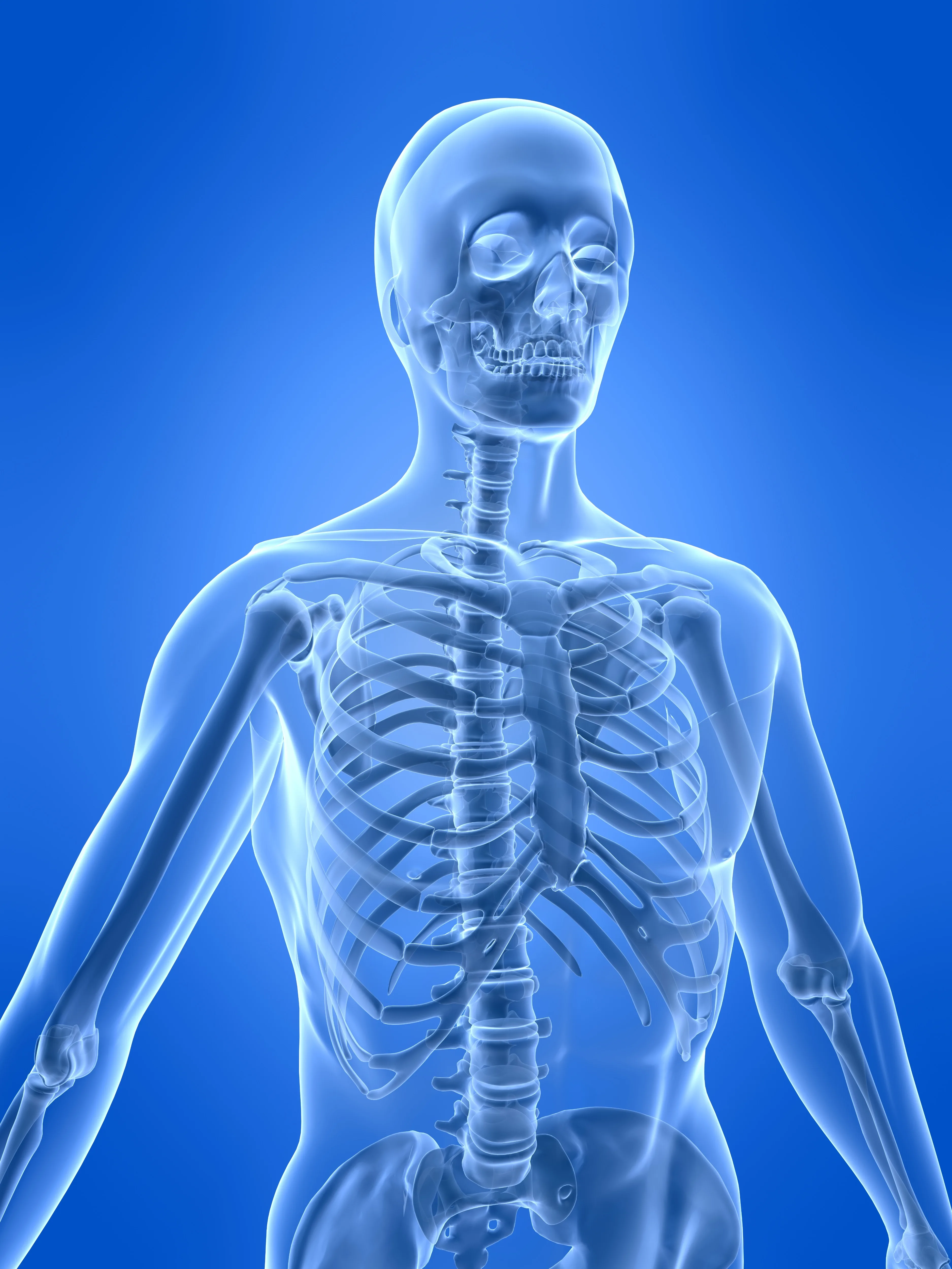 Skeleton Skeleton Skeleton Skeleton Skeleton School Of Pharmacy Cuhk