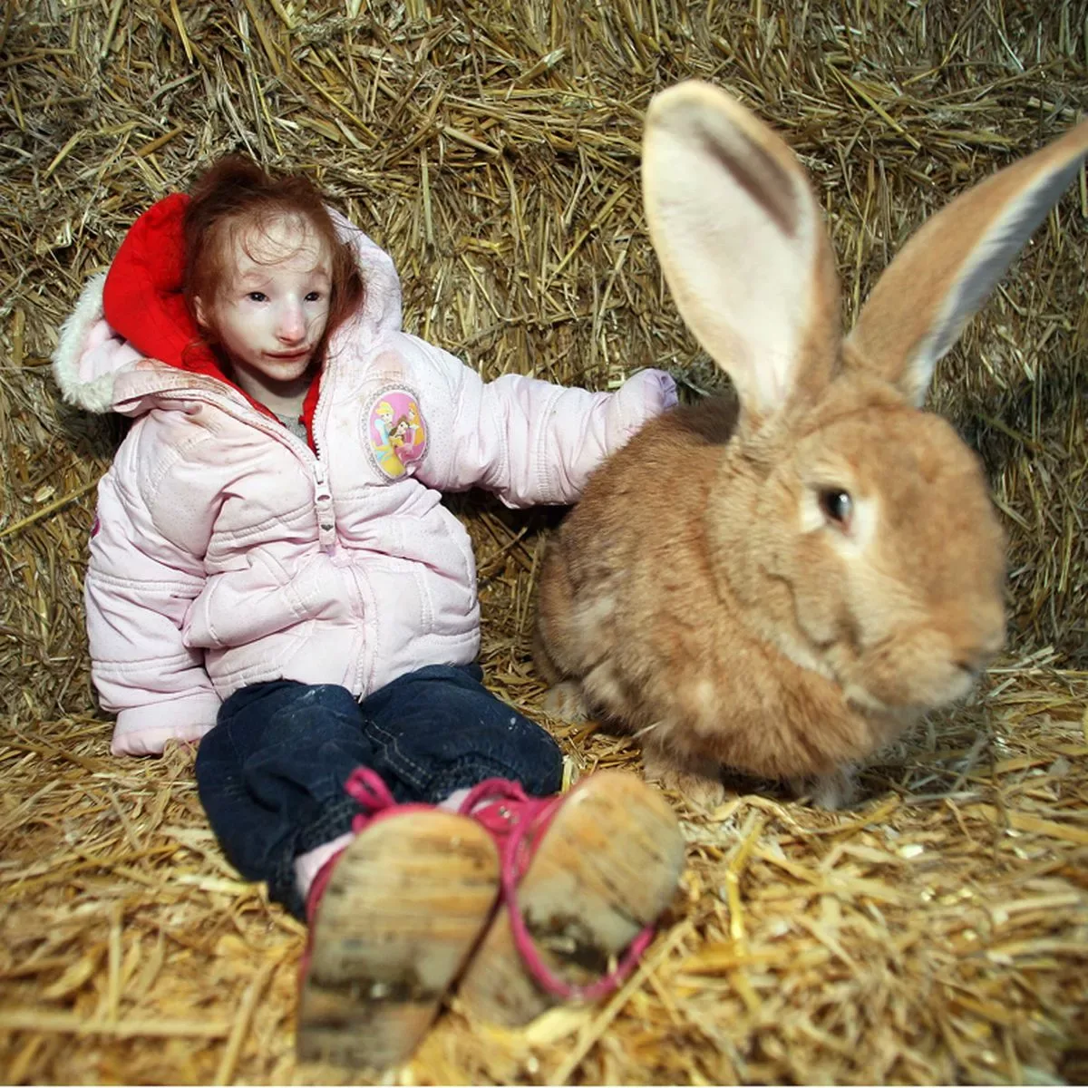 Smallest Bunny In The World