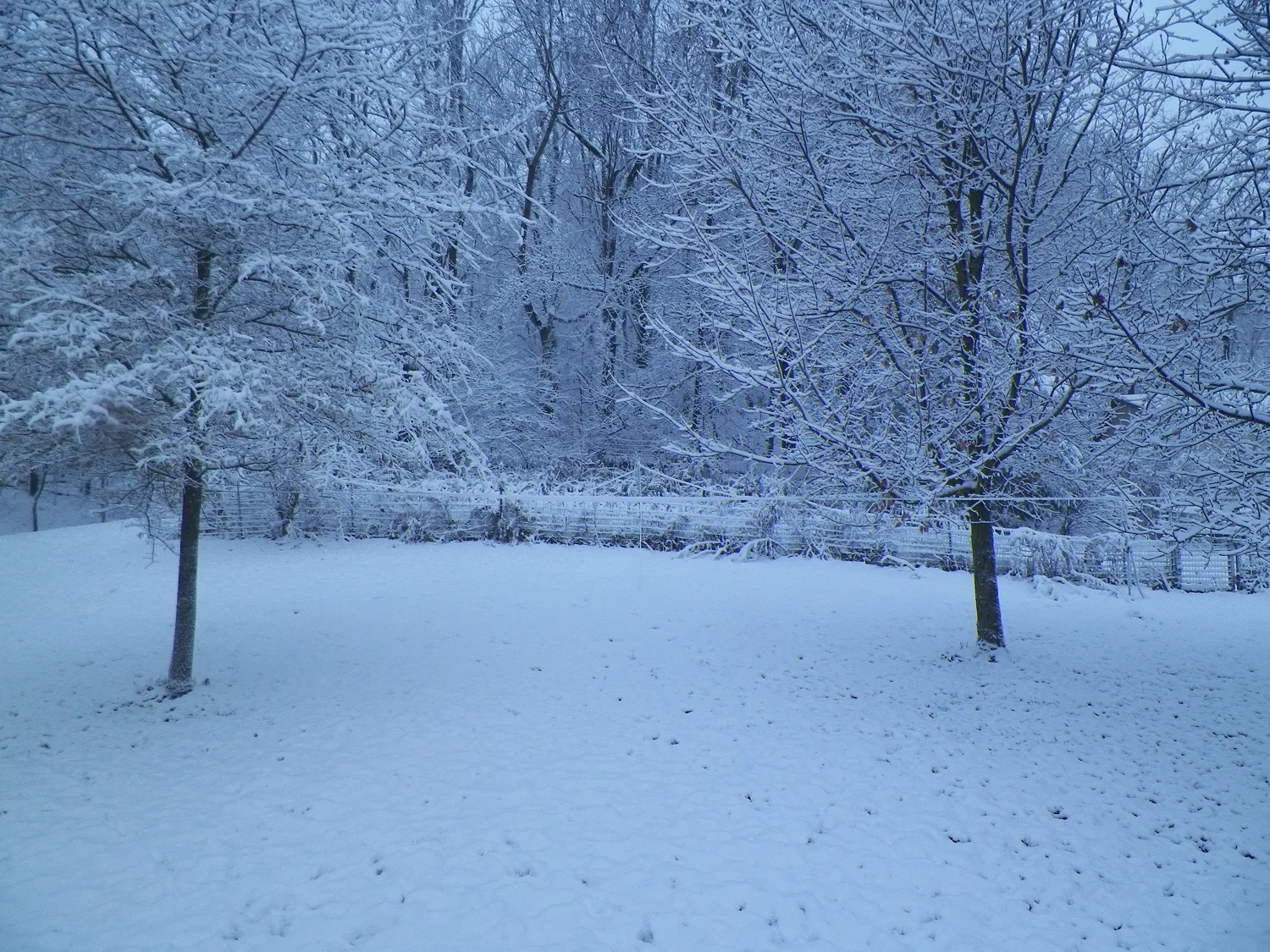 Snow