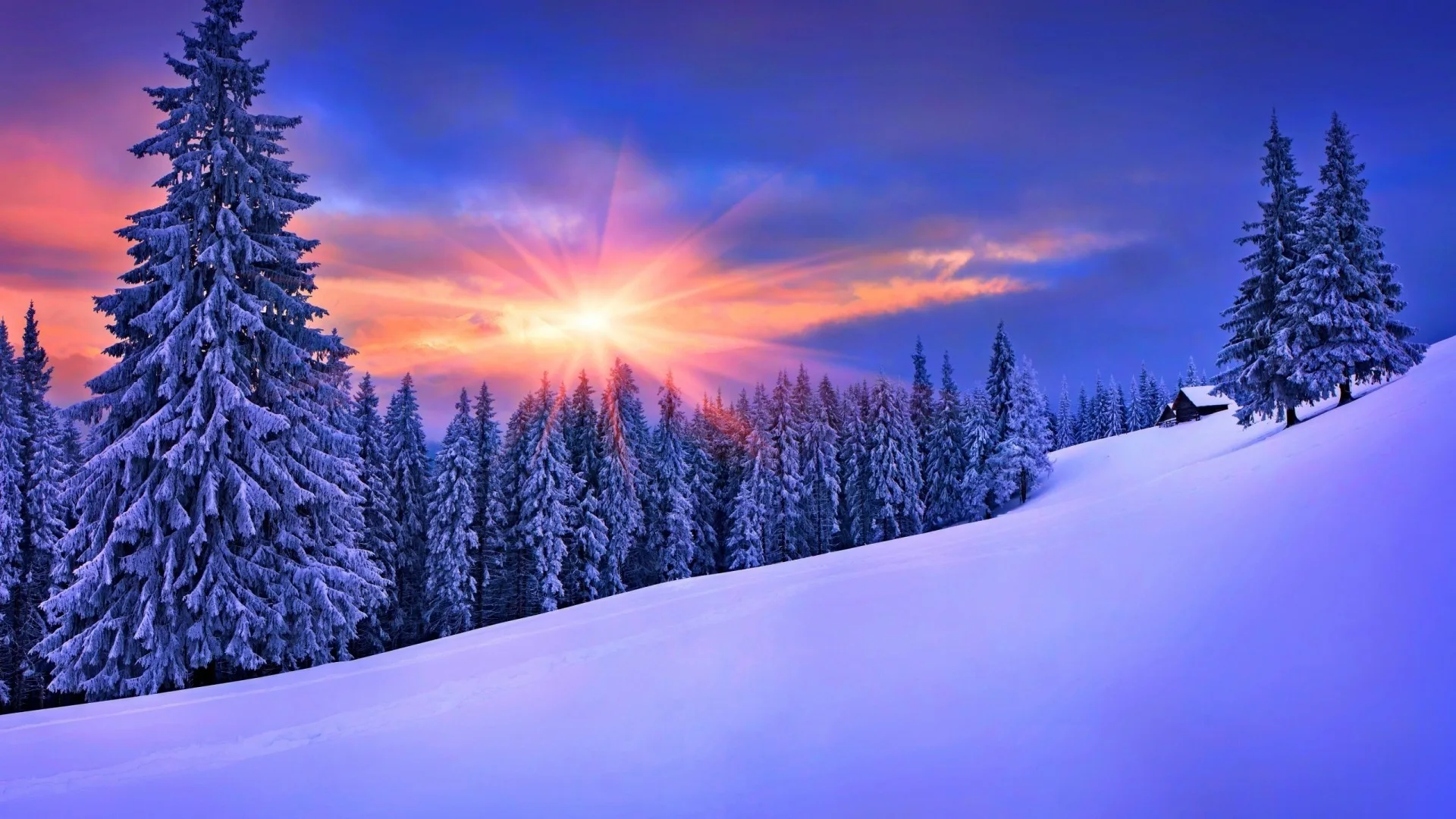 Snow Backgrounds 60 Images