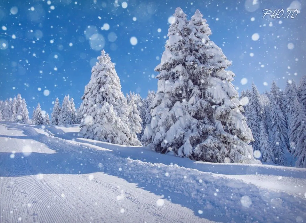 Snow Falling Winter Scene Wallpapers Wallpaper Cave