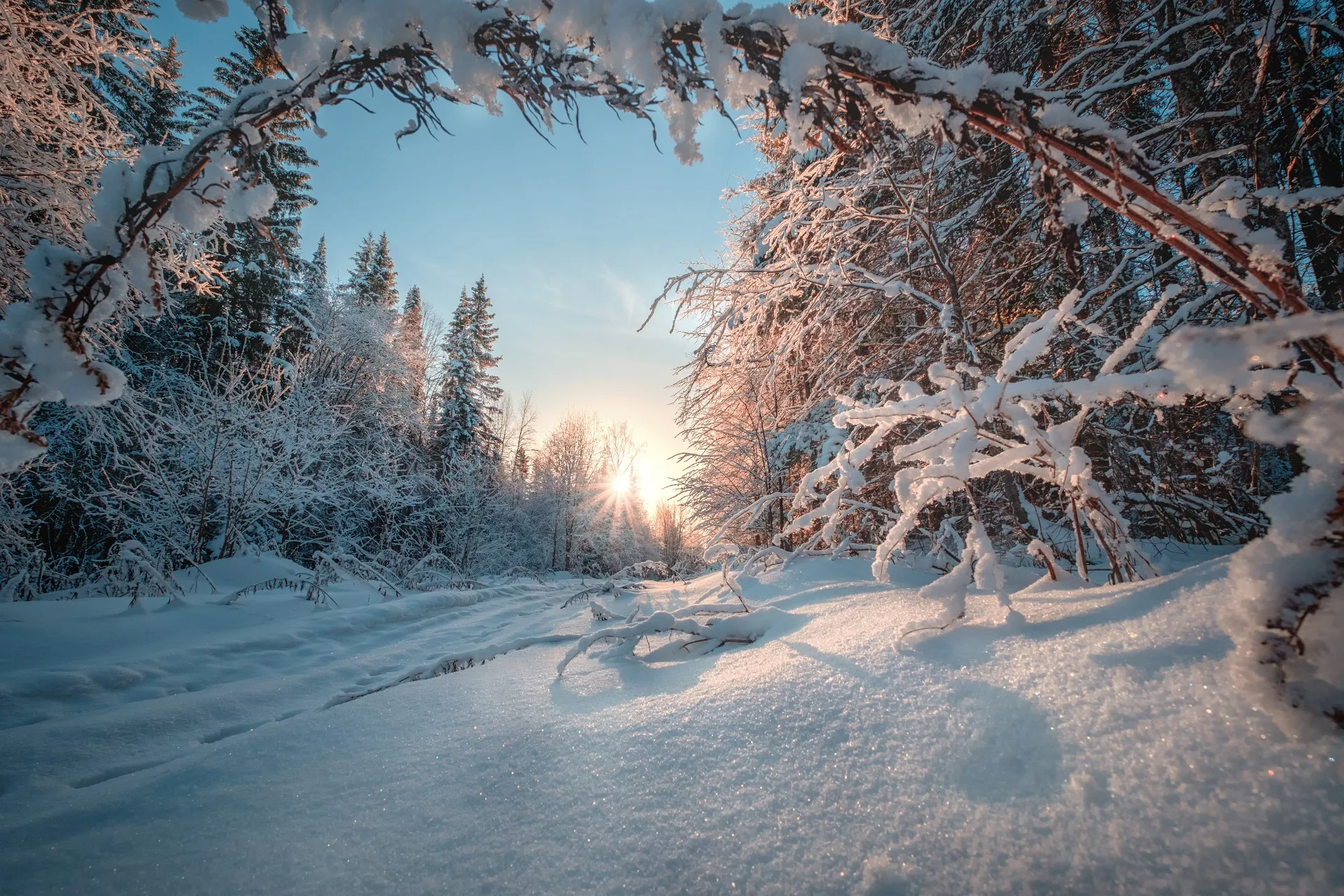 Snow Winter Nature Landscape Wallpapers Hd Desktop And Mobile Backgrounds
