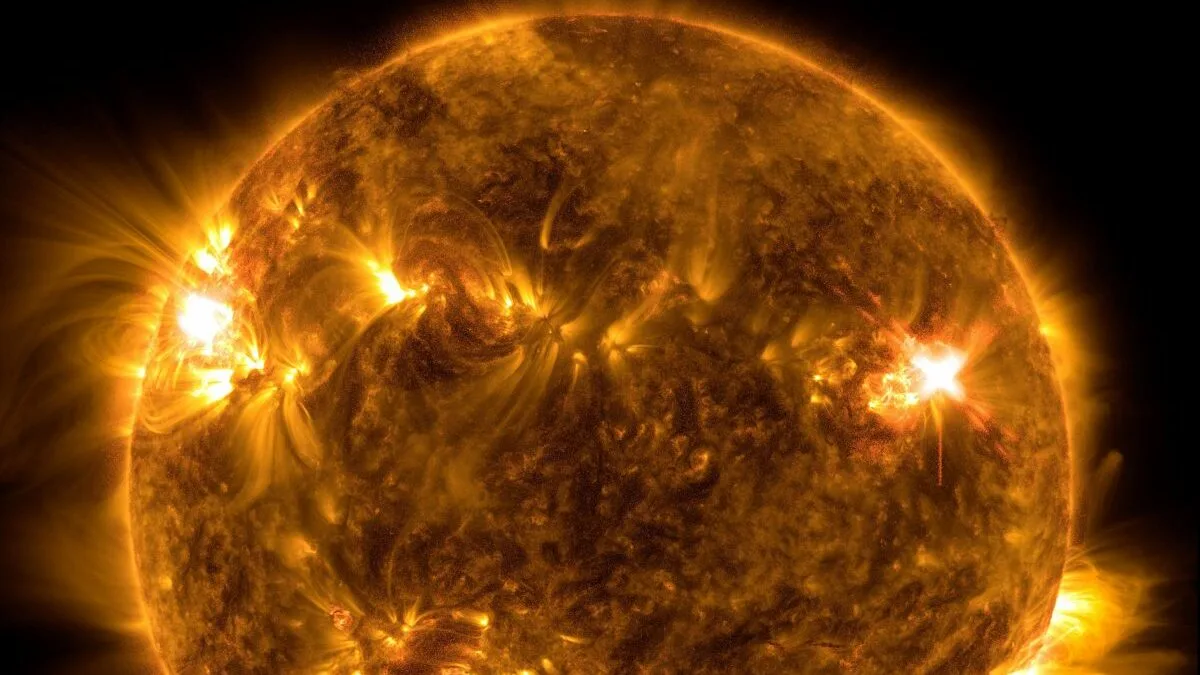 Solar Flare 2024 Newsletter Rori Wallis