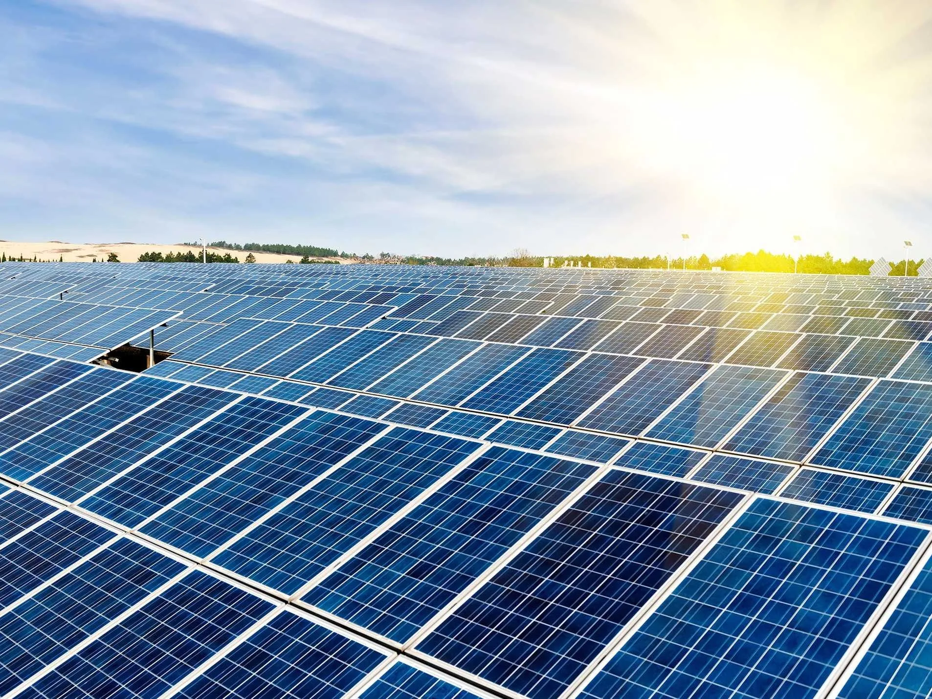 Solarcity Lyndon Rive On Solar In 5 Years Business Insider