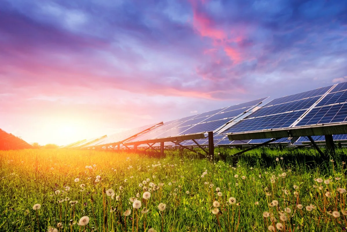 Solarstrom 100 Sonnenenergie Auch Ohne Solaranlage Green Aktiv Gmbh