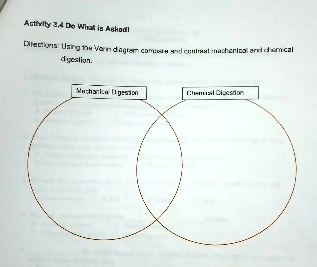Solved Digestion Mechanical Digestion Chemical Digestion Directions Using The Venn Diagram