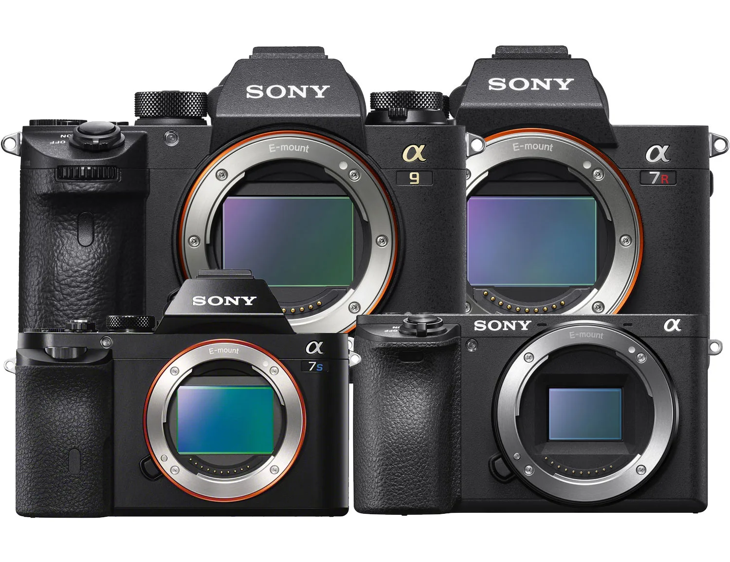 Sony Mirrorless Camera Guide Sonyalphalab