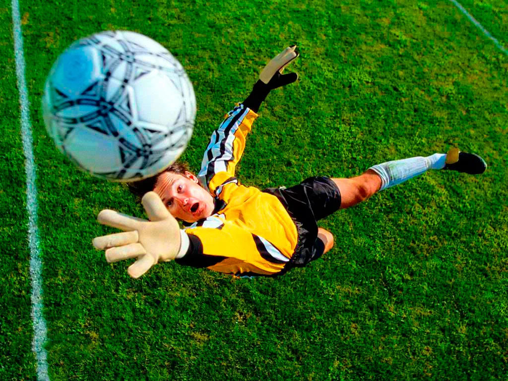 Sports Buisness Kuban Buisness Portal Of Krasnodar Territory