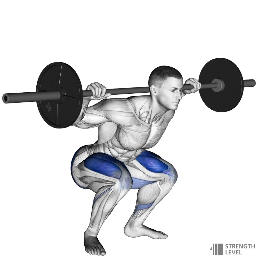 Squat Standards For Men And Women Lb Strength Level