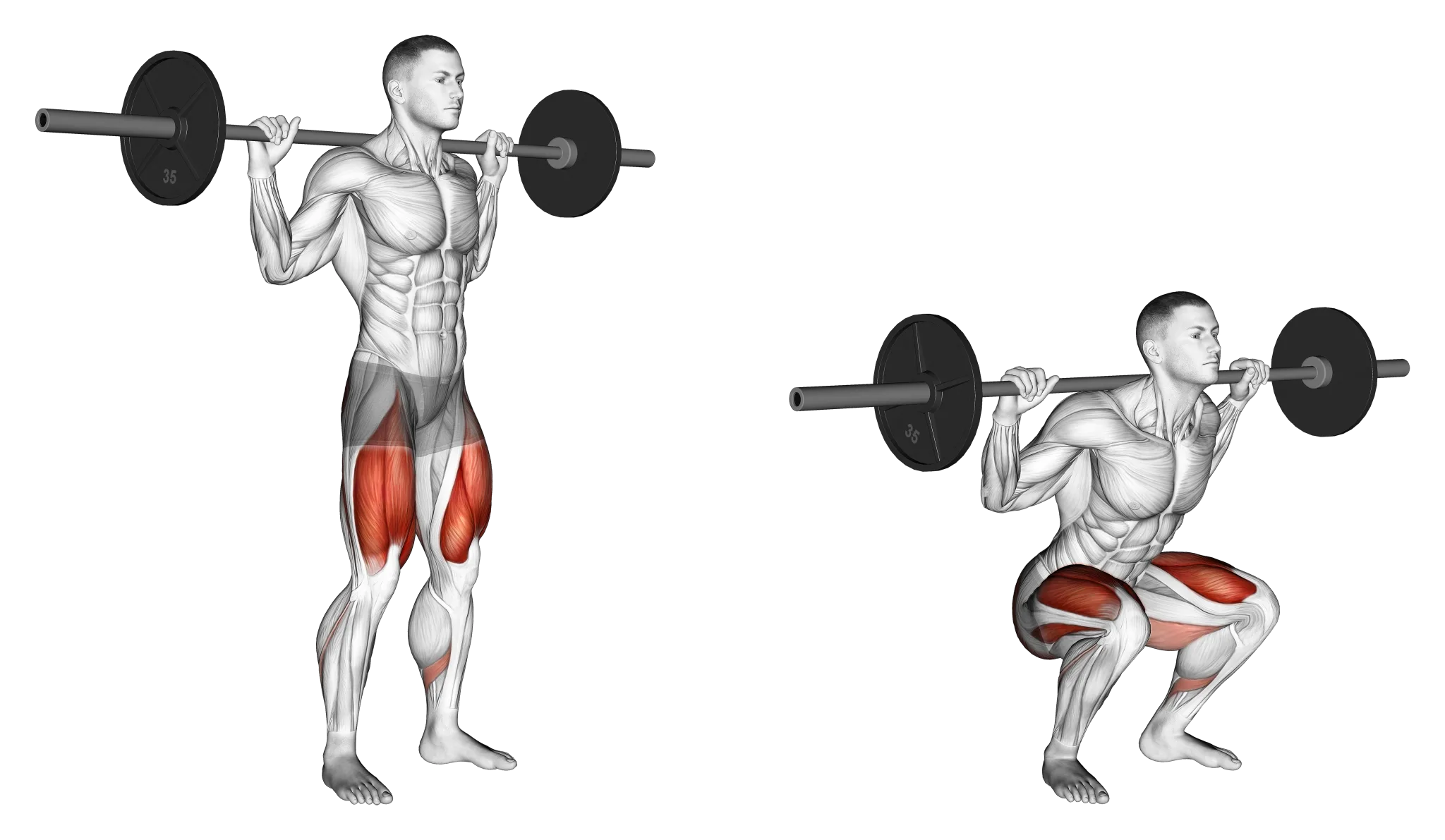 Squat Vs Deadlift 6 Major Differences Explained Inspire Us