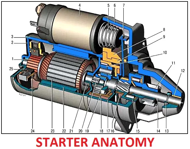 Starter Motor Labelled Diagram