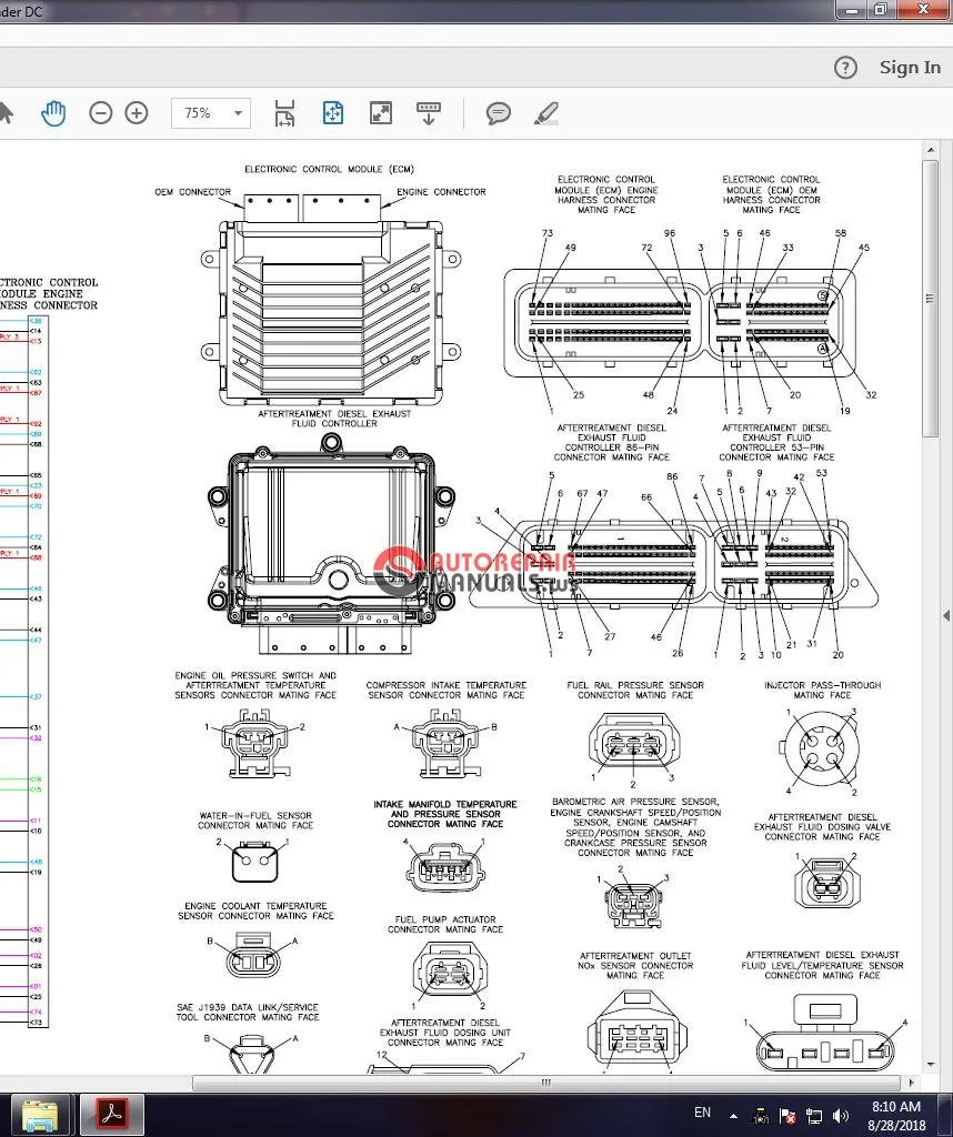 Striker Guitar Wiring Diagrams