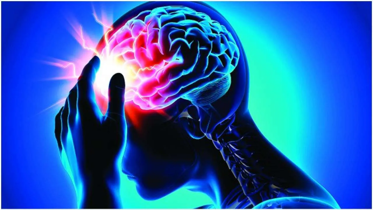 Stroke Its Types And Symptoms Online Science Notes