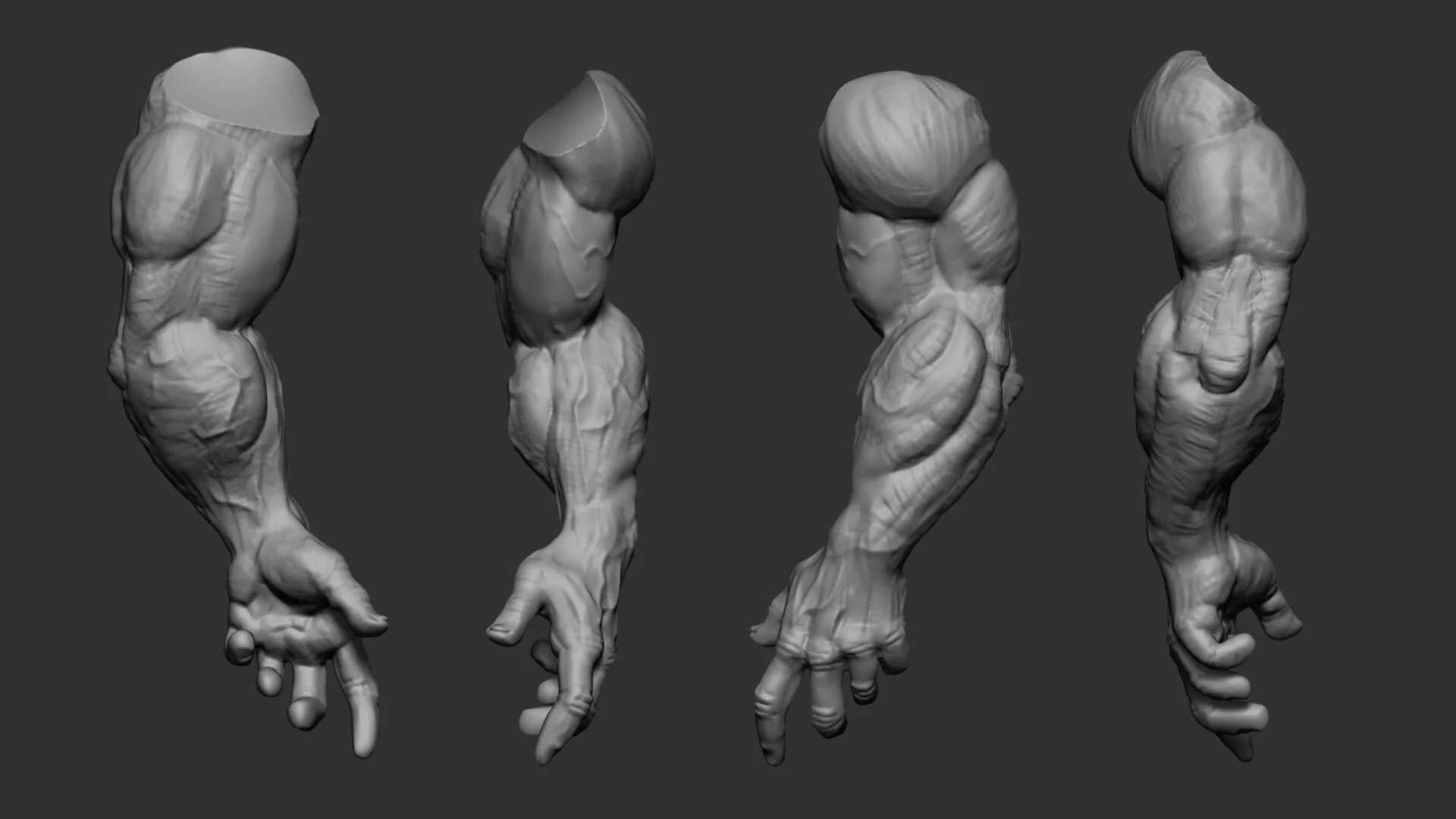 Strong Arm Muscle