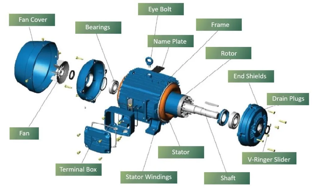 Structure Of Induction Motor