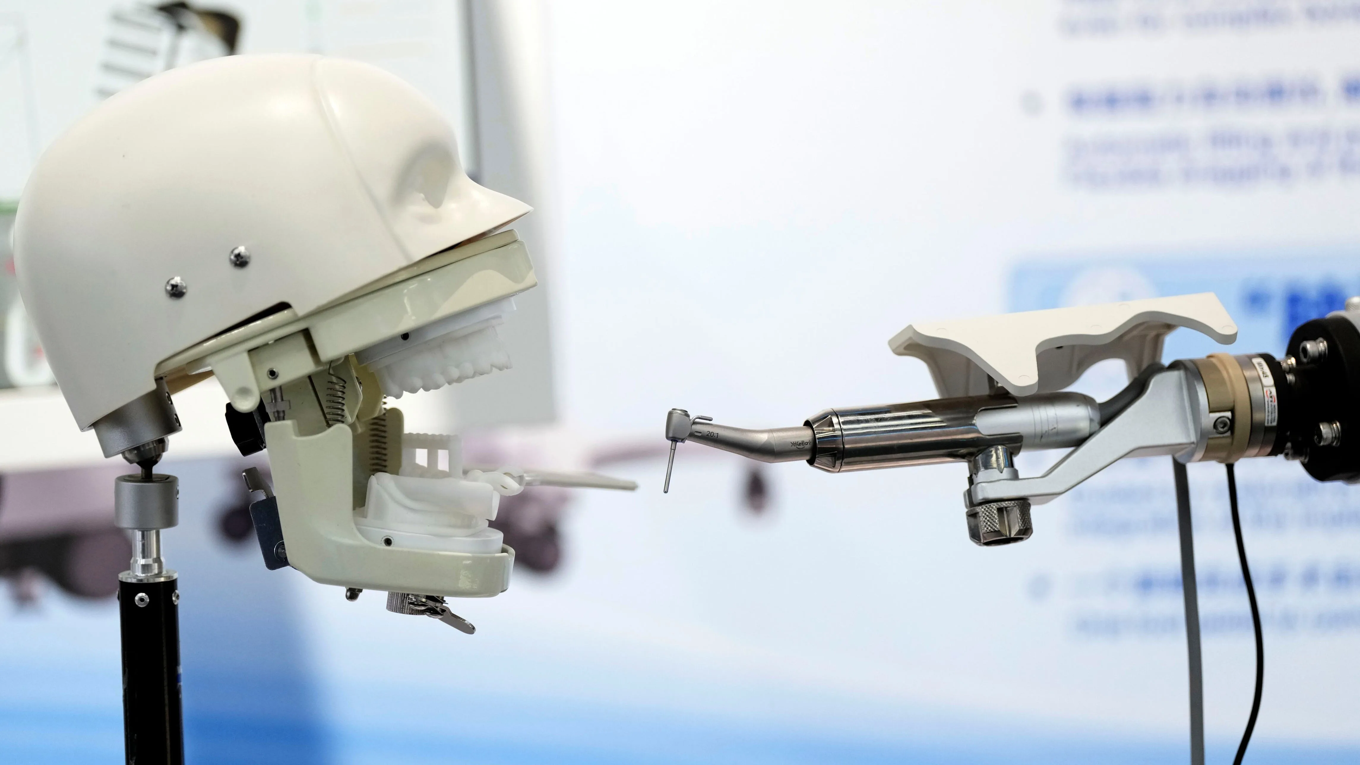 Study Warns Ai Damaged Doctors Ability To Detect Cancer