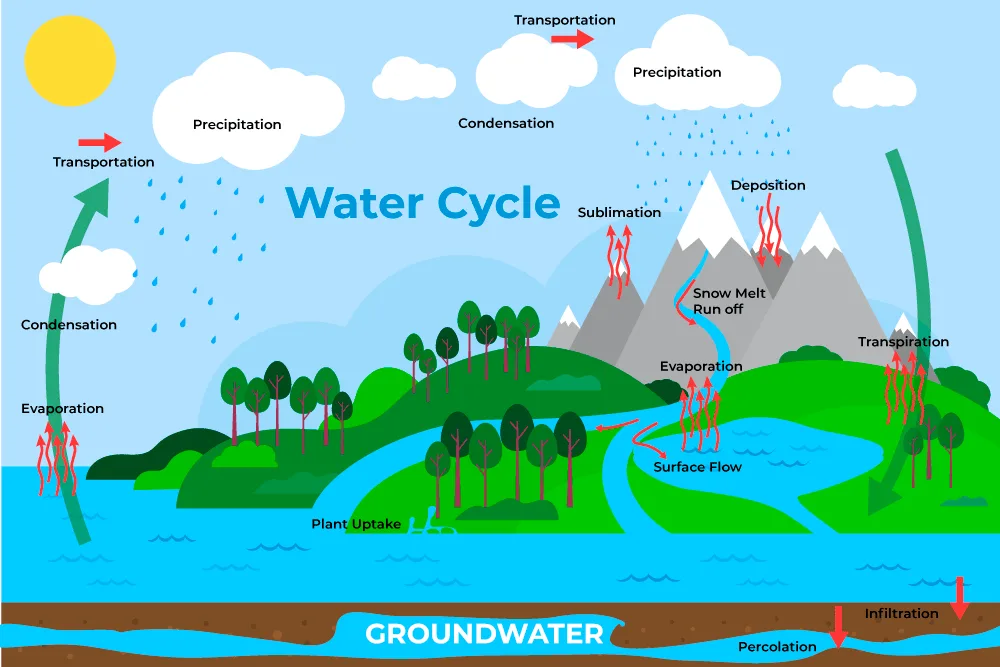 Sublimation Diagram Water Cycle