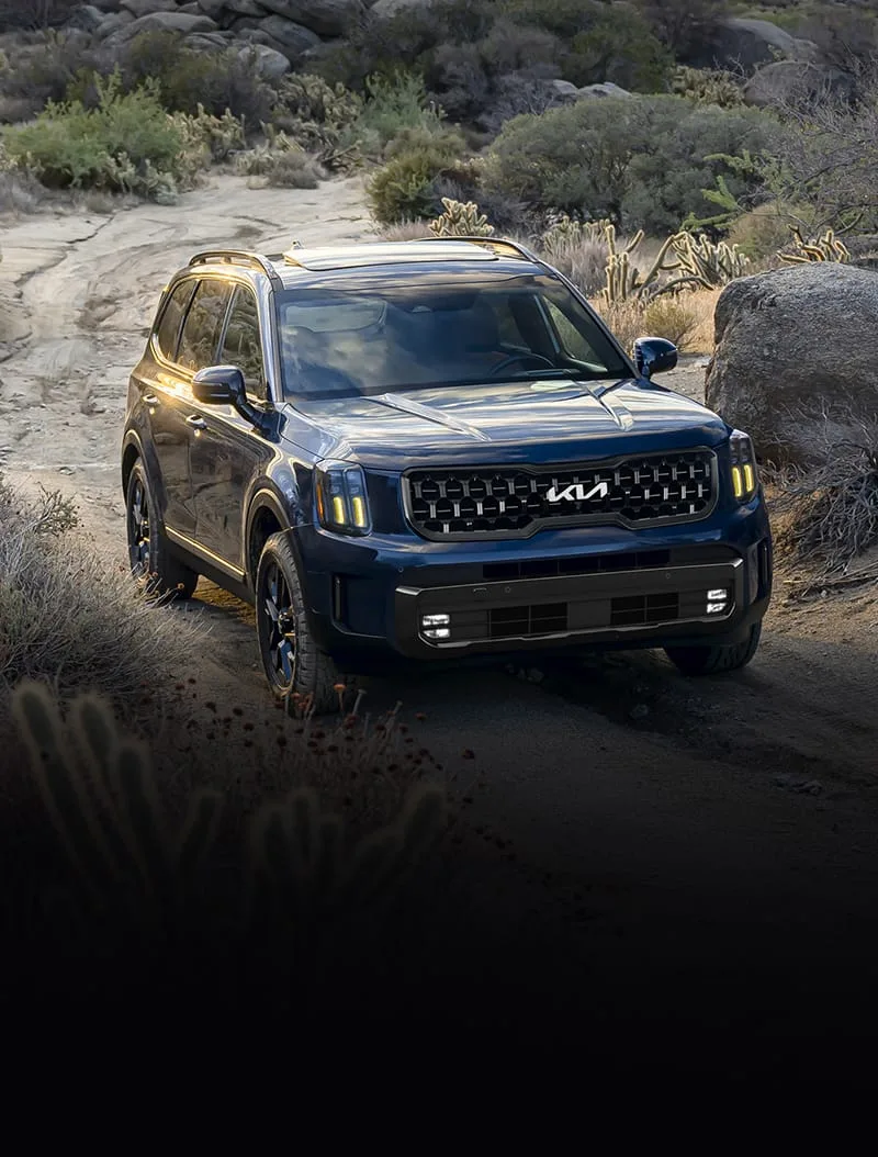 Suvs Sedans Sports Cars Hybrids Evs Luxury Cars Kia