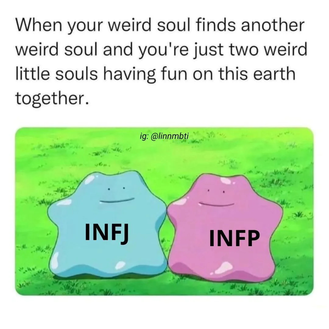 The 16 Personality Types Infp Personality Myers Briggs Personality Types Infj Infp Entp