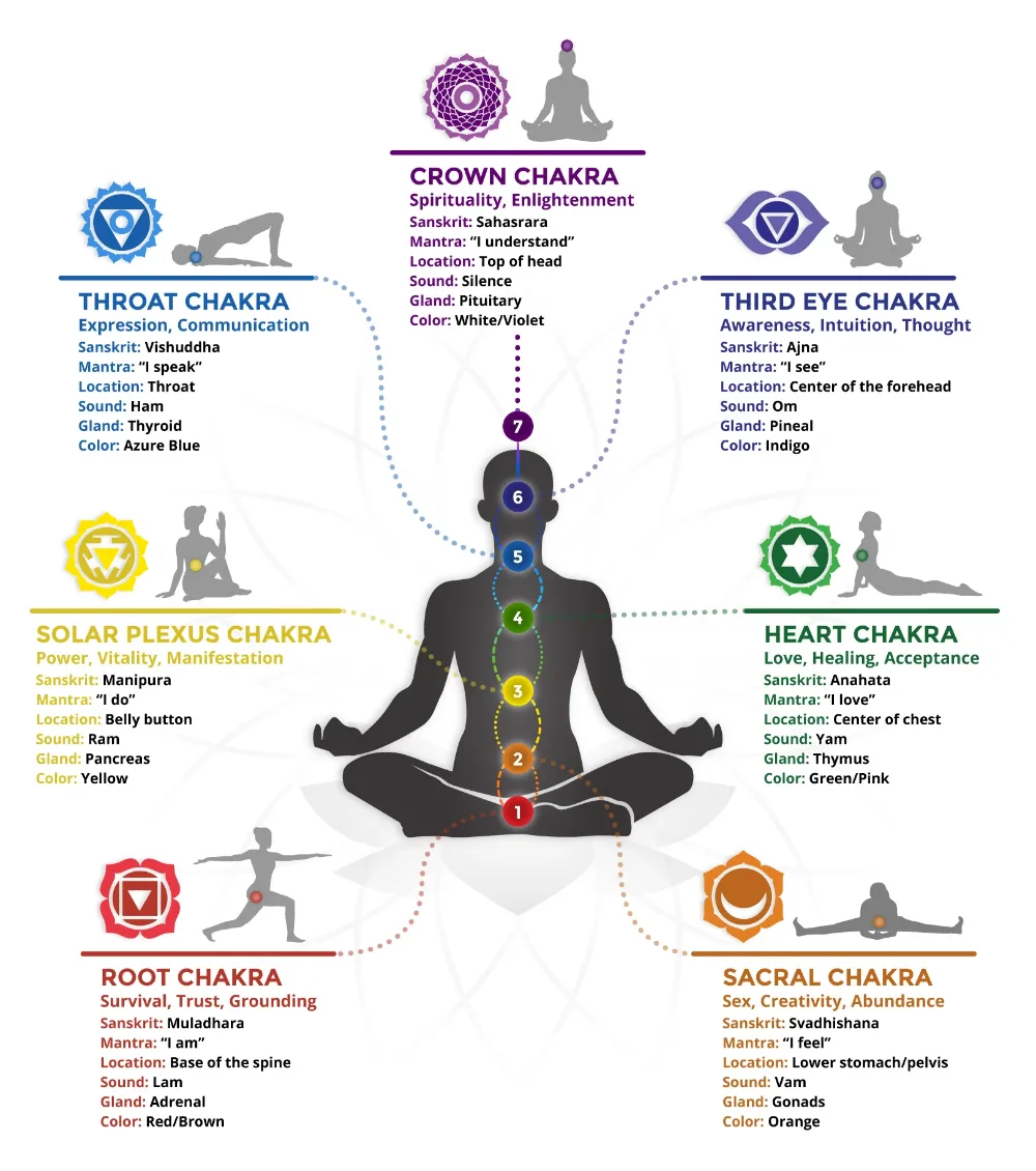 The 7 Chakras Artofit
