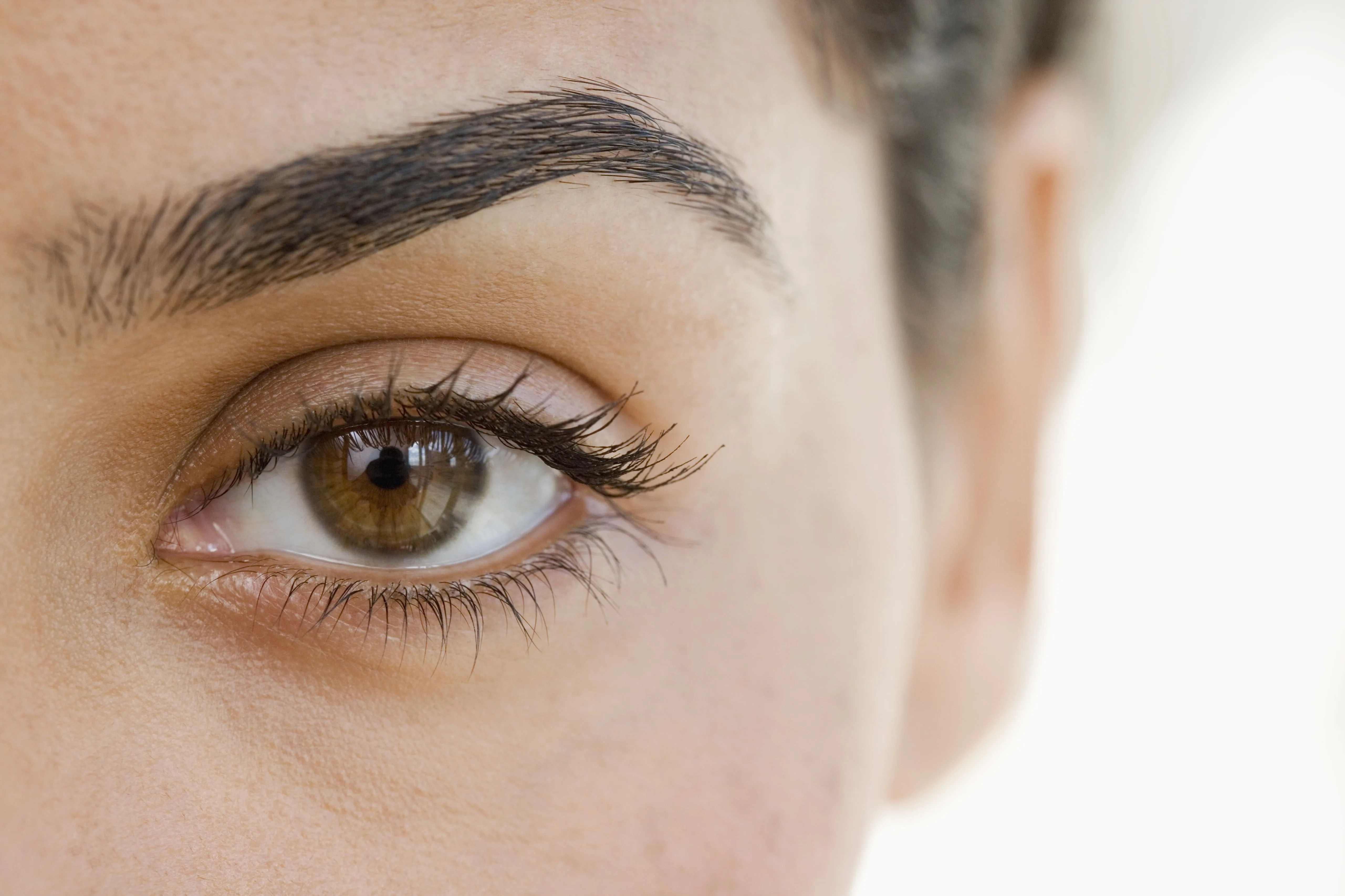 The Anatomy Of The Eye And How It Works