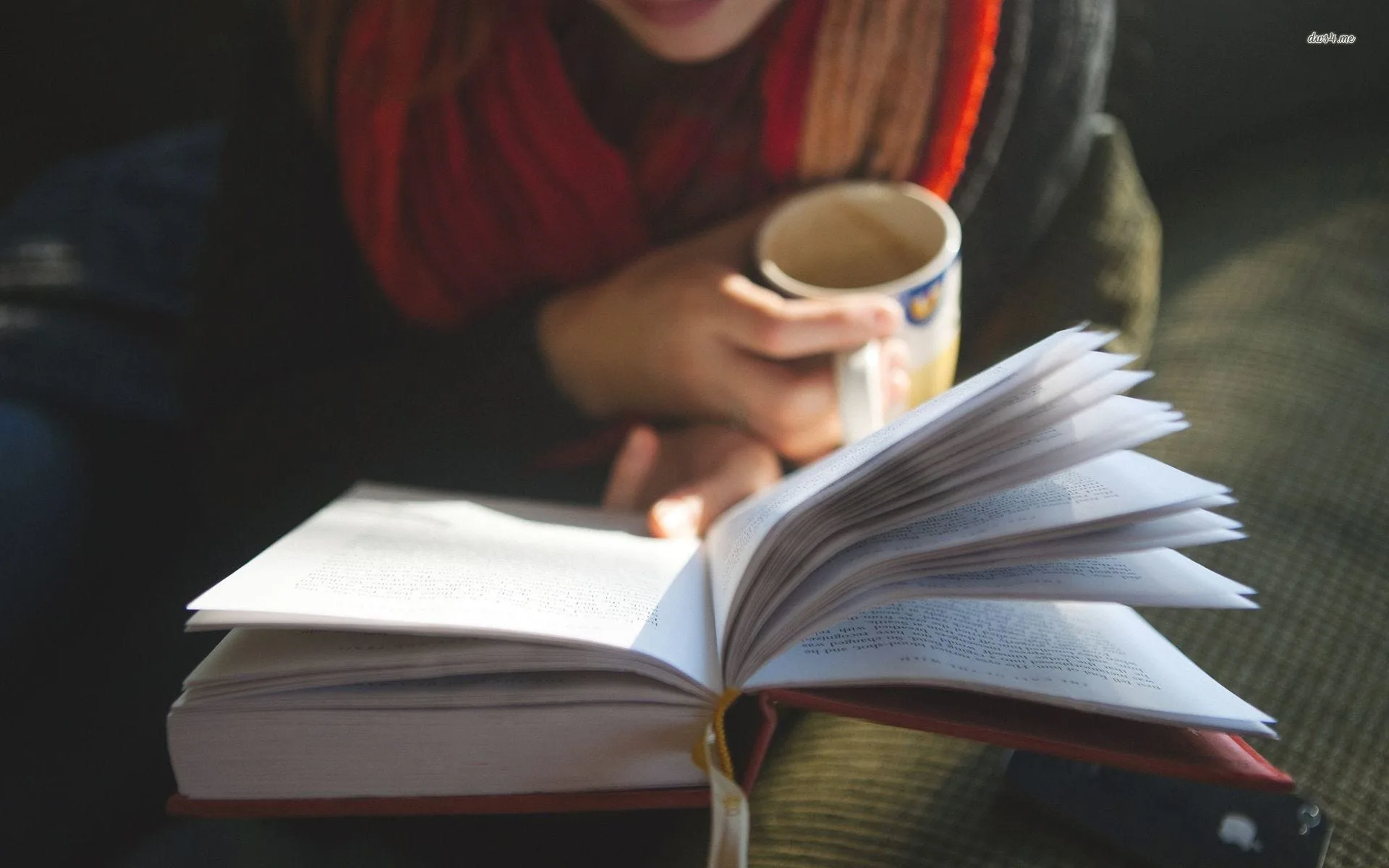 The Benefits Of Reading Everyday Why I M Reading 100 Books This Year