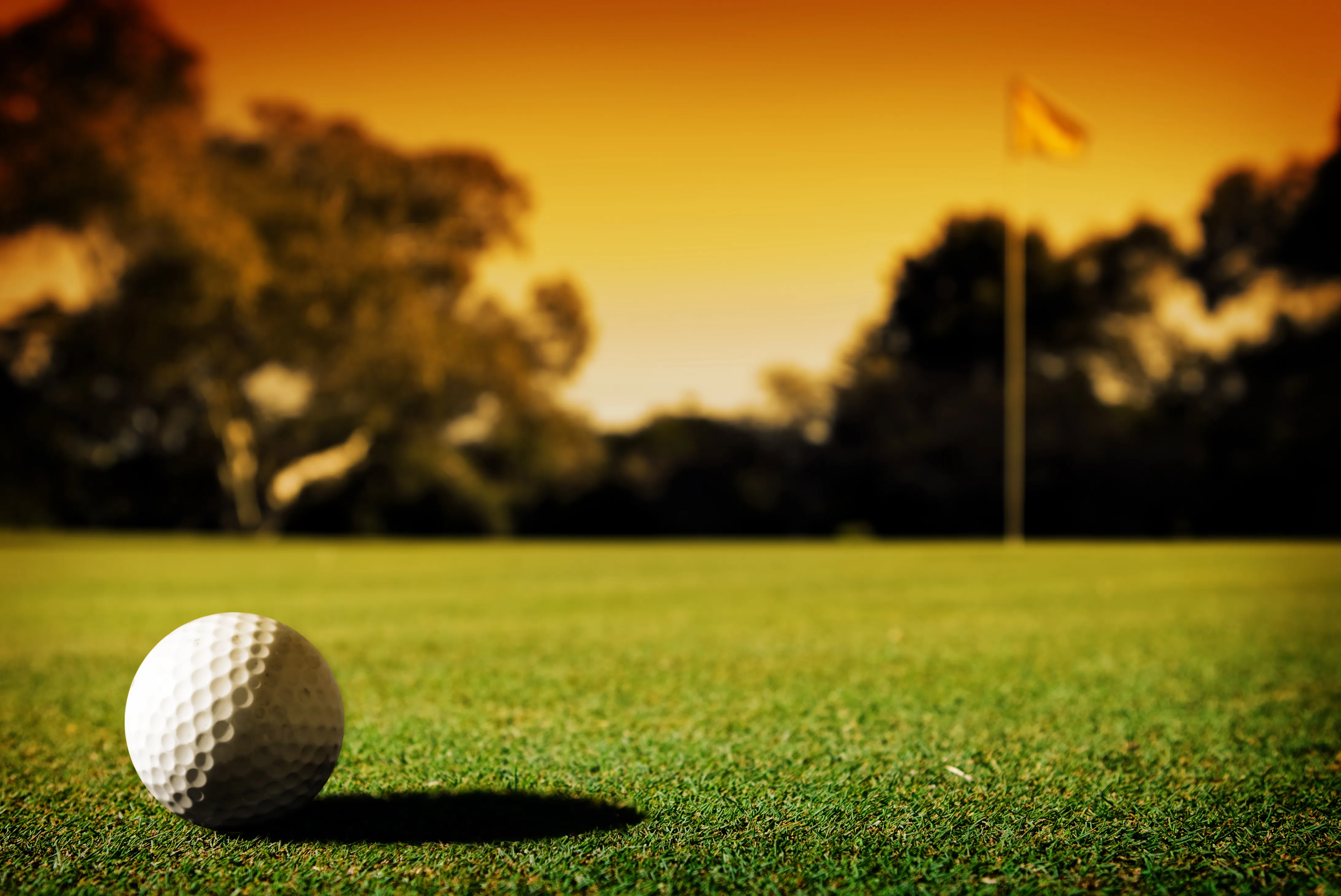 The Best Golf Courses Near Howell Mi