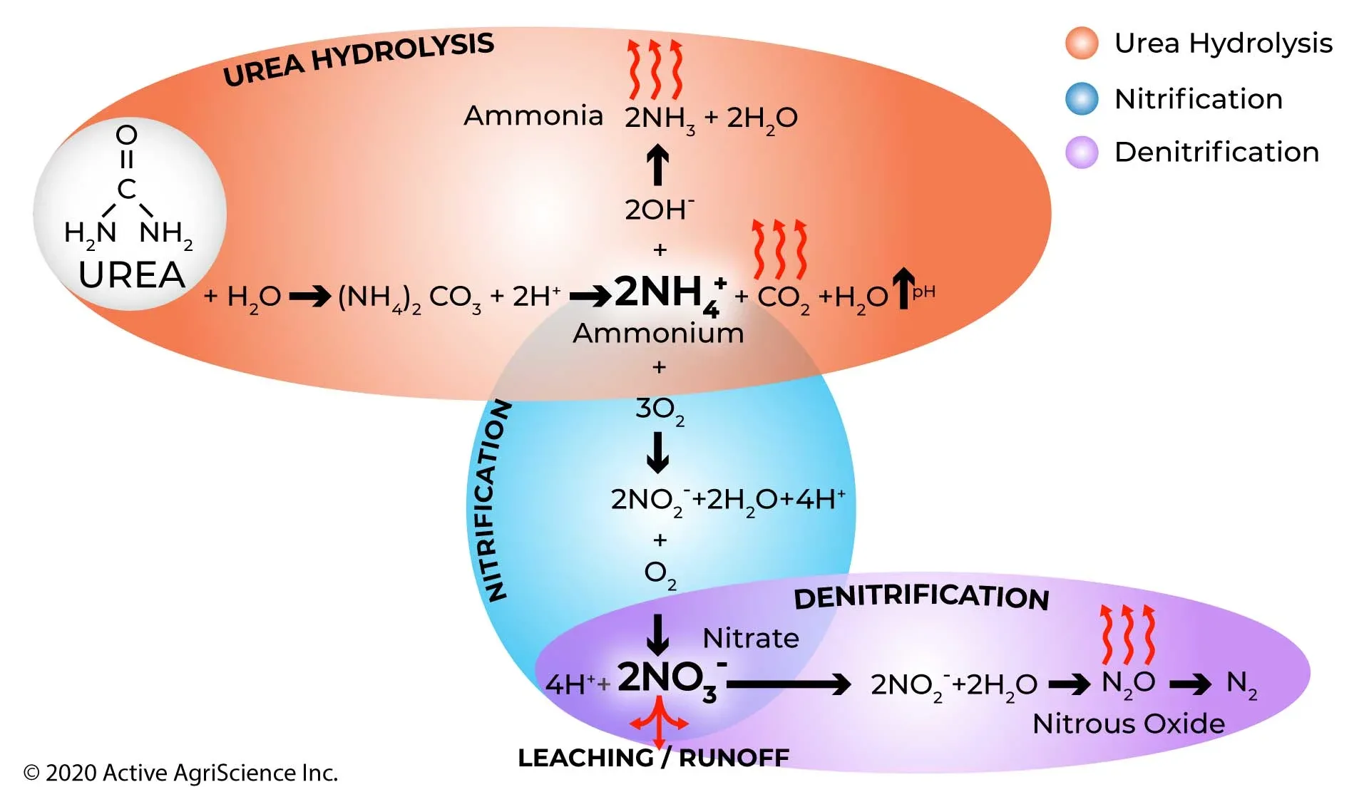 The Best Nitrogen Stabilizers For Saving Fertilizer Active Agriscience