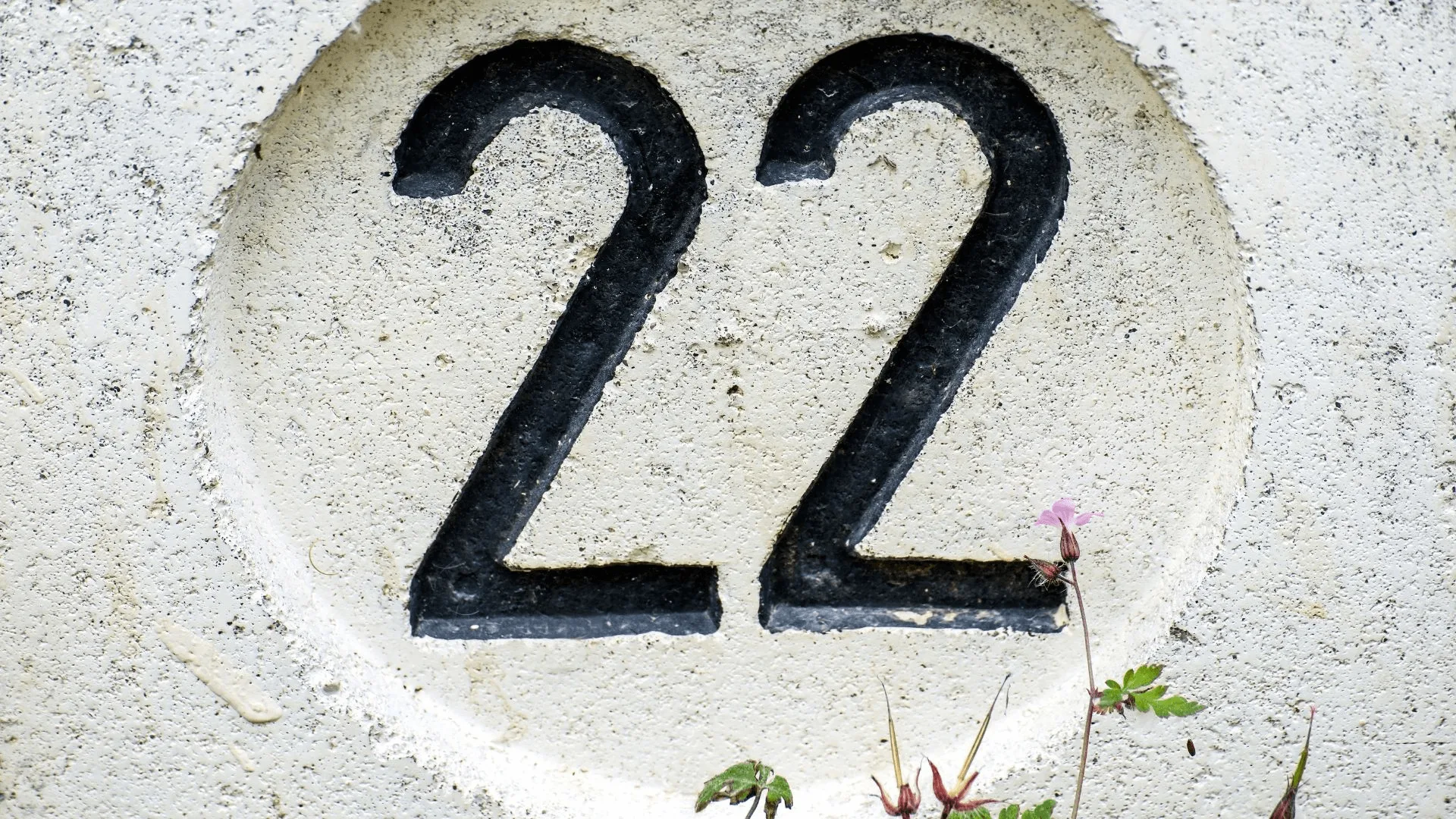 The Biblical Meaning Of Number 22 Christian Faith Guide