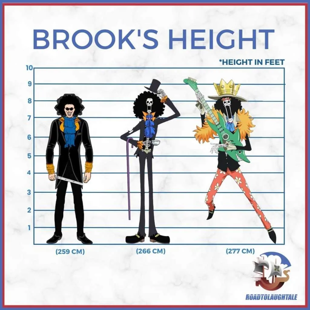 The Big Question How Tall Is Brook In One Piece