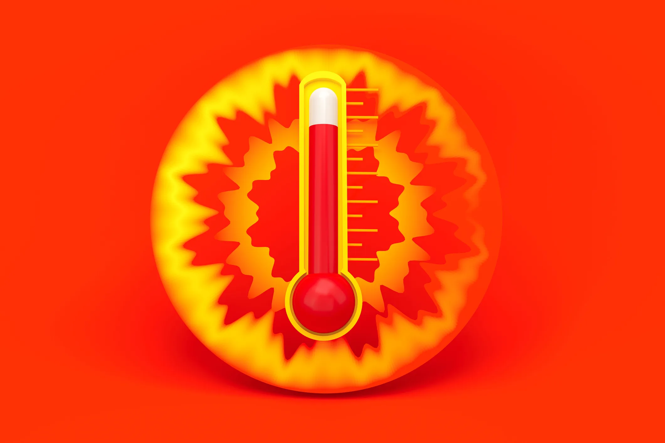 The Heat