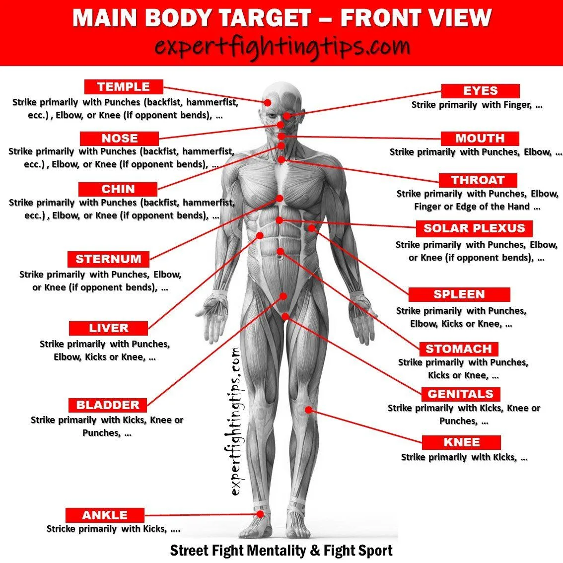The Main Targets Of The Human Body Artofit