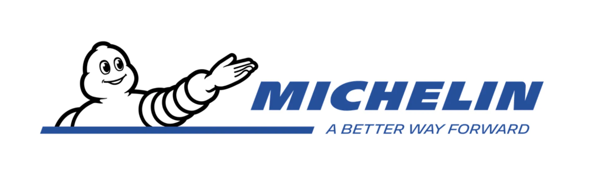 The Michelin Company