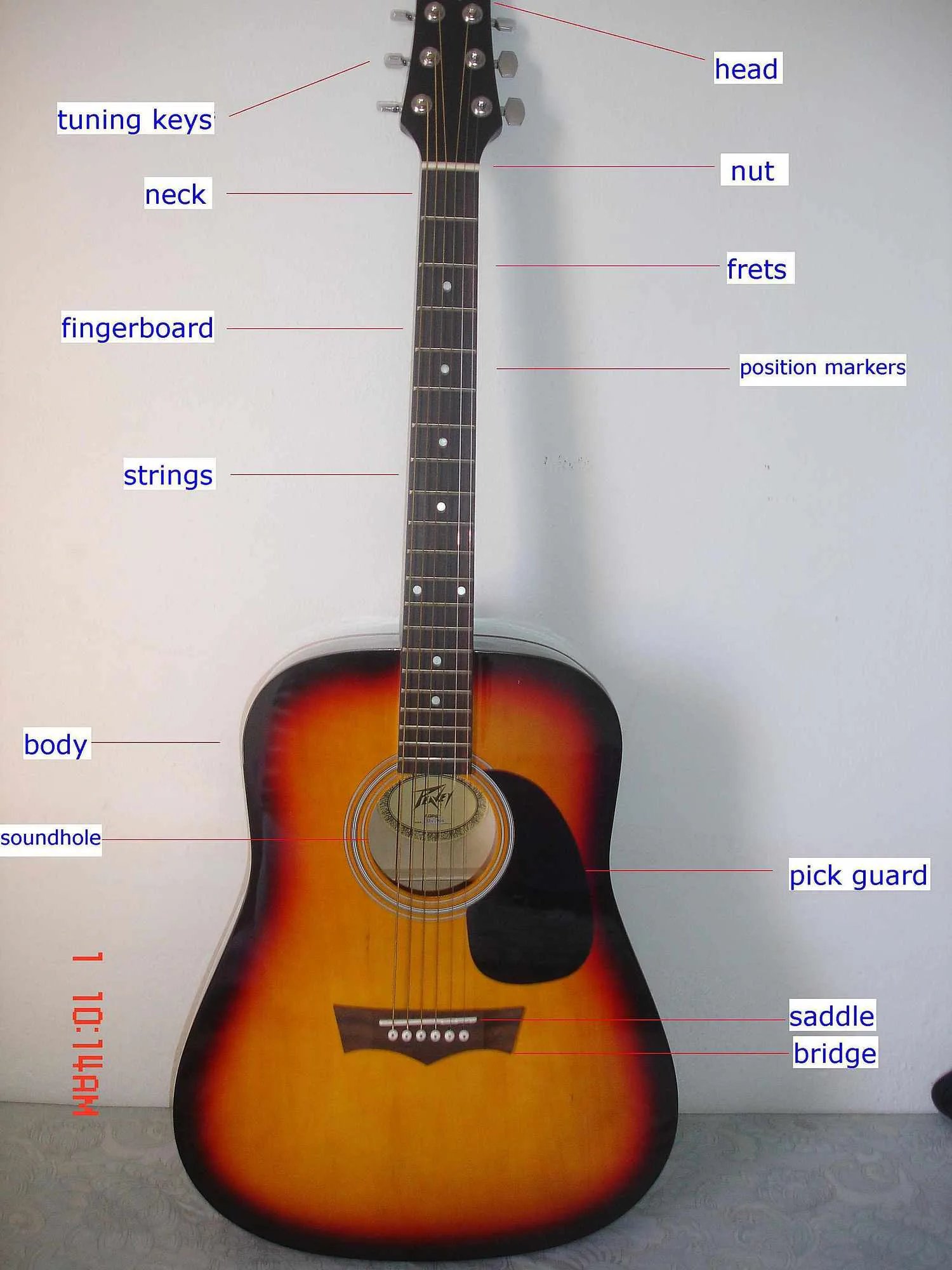 The Parts Of An Acoustic Guitar