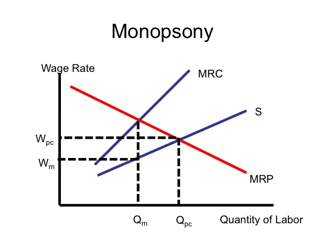 The Study Economics For Ma Ignou Microeconomics Macroeconomics Econometrics Mathmatical