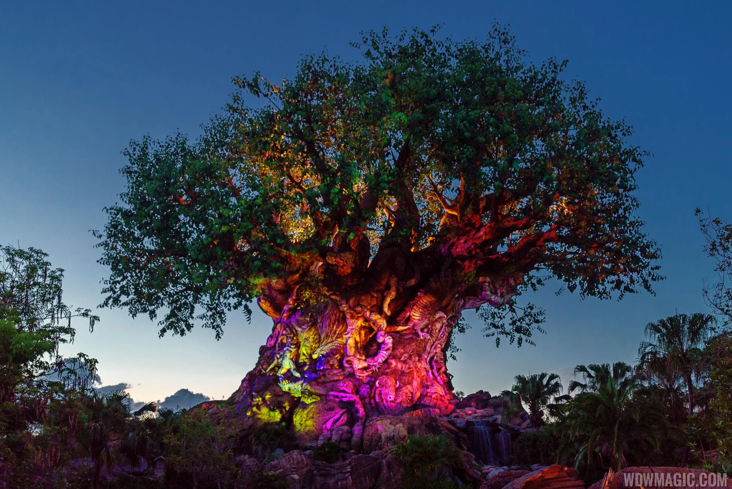 The Tree Of Life