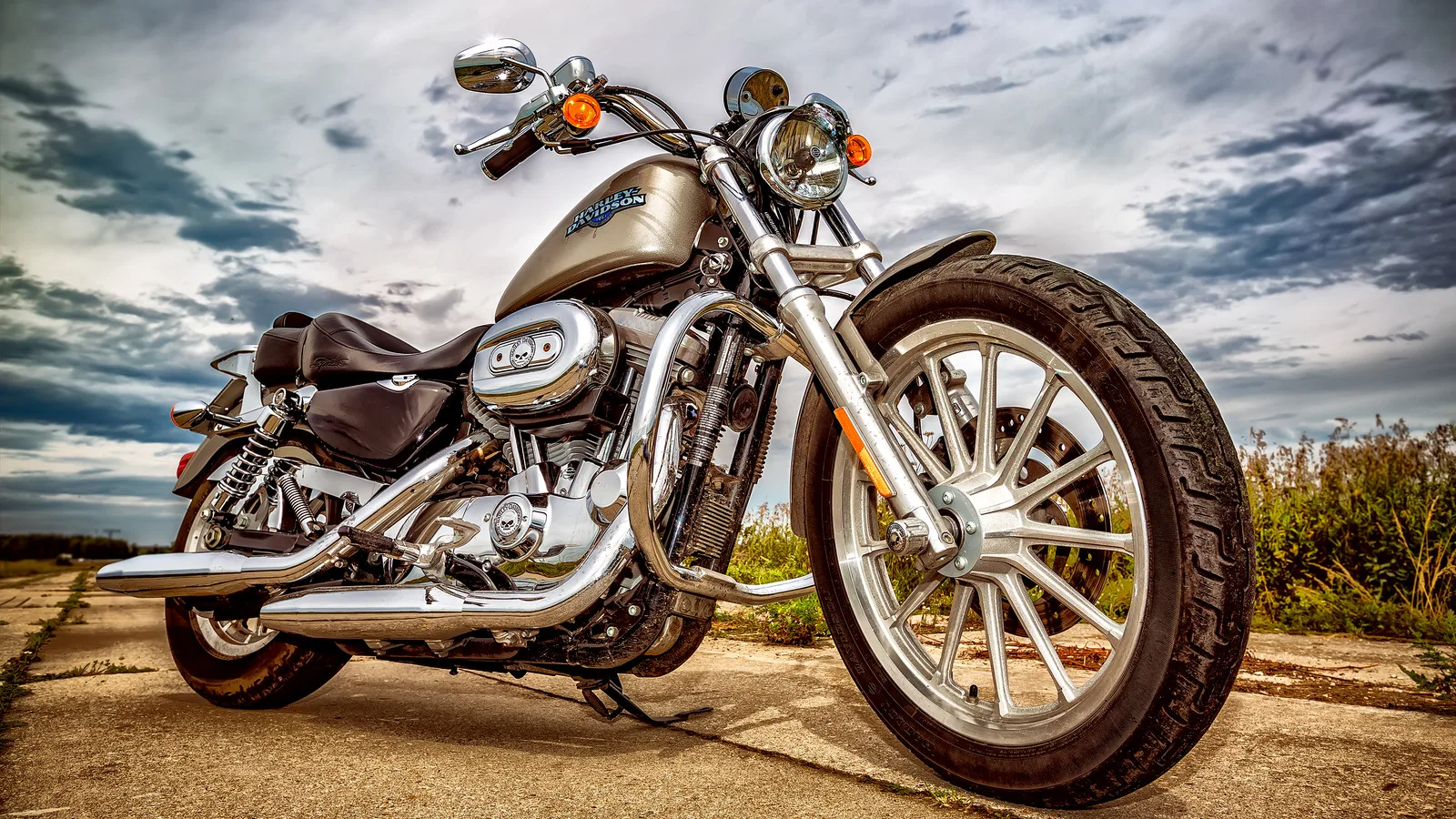 The Unexpected Harley Davidson Product That Didn T Fare Well