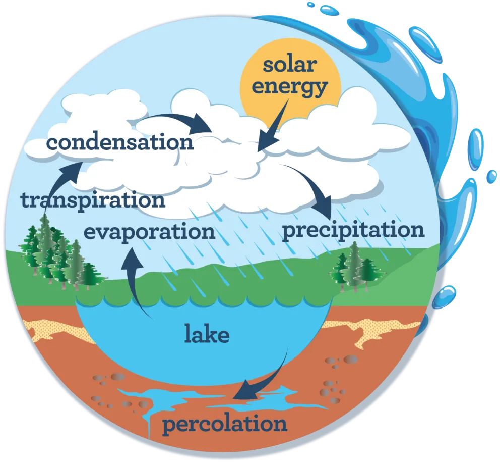 The Water Cycle