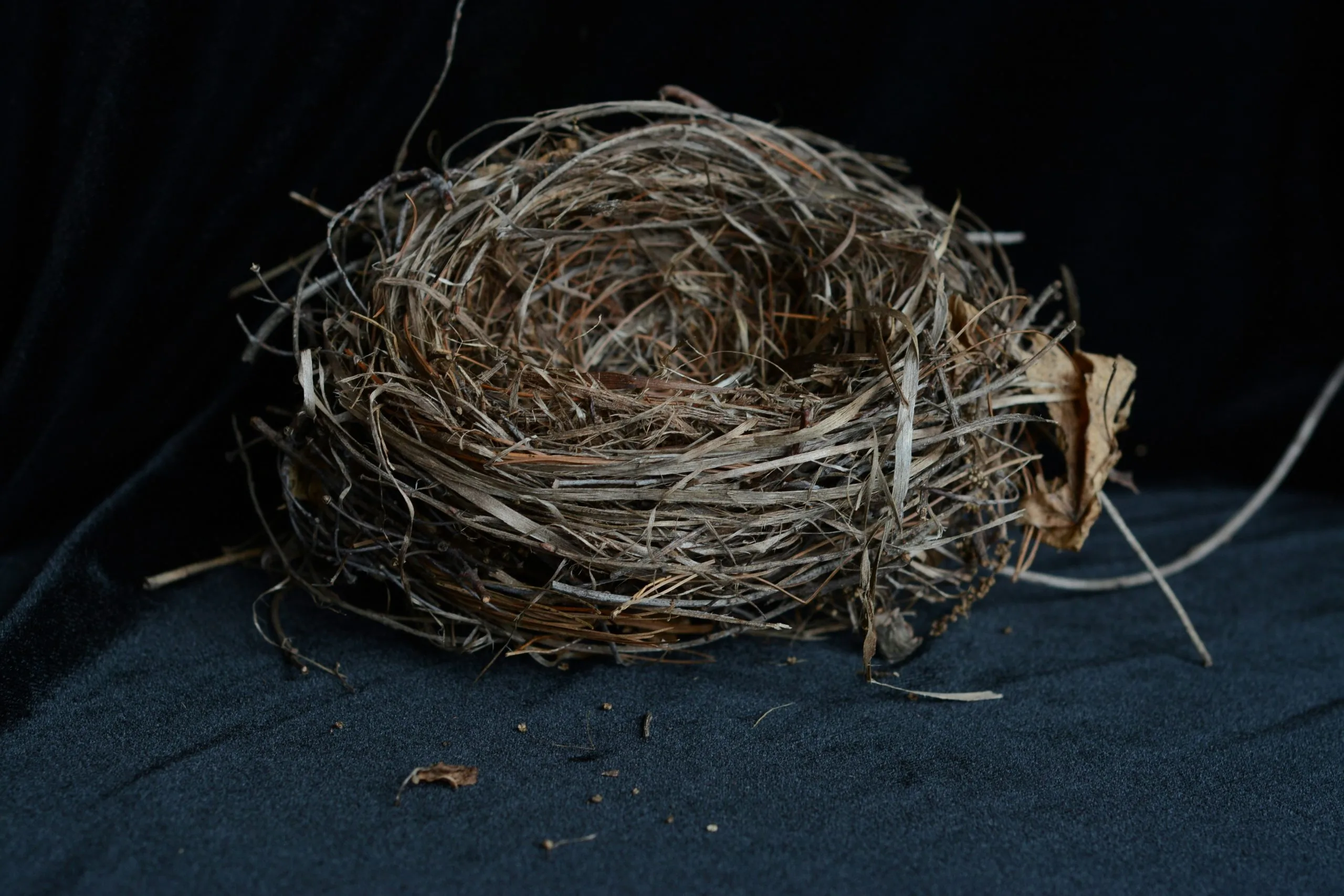 They Nest Learnlets