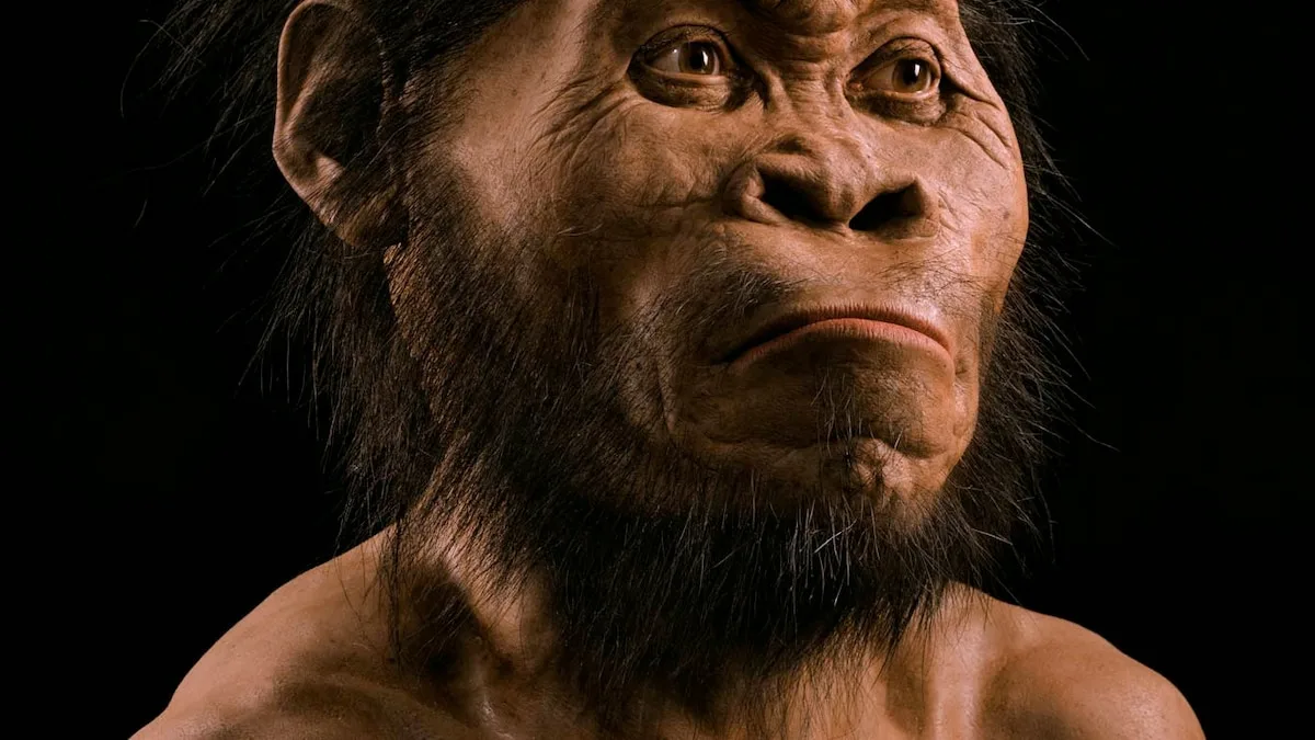 This Face Changes The Human Story But How National Geographic