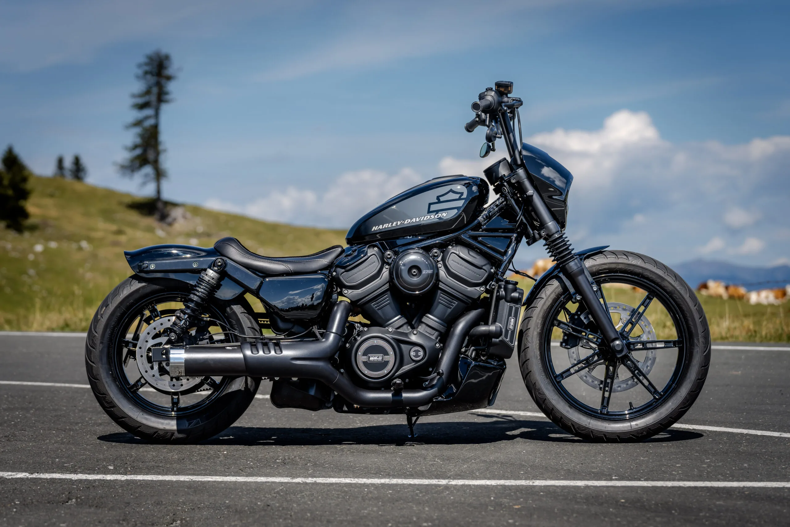 Thunderbike Night Flyer Harley Davidson Sportster Nightster