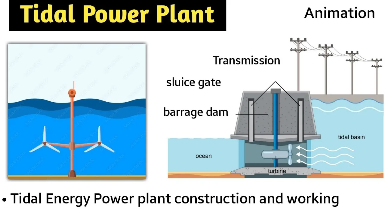 Tidal Energy Plant Diagram