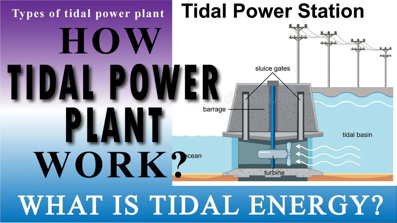 Tidal Energy Plant Diagram