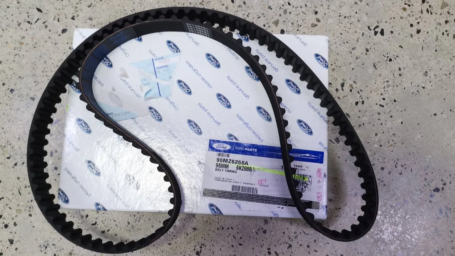 Timing Belt In Ford Focus At Charles Betz Blog