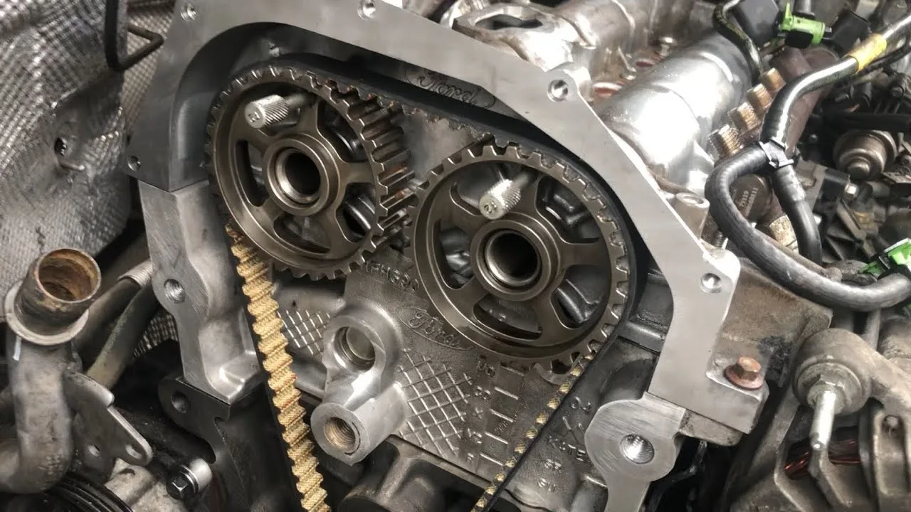 Timing Belt On Ford Transit At May Myers Blog