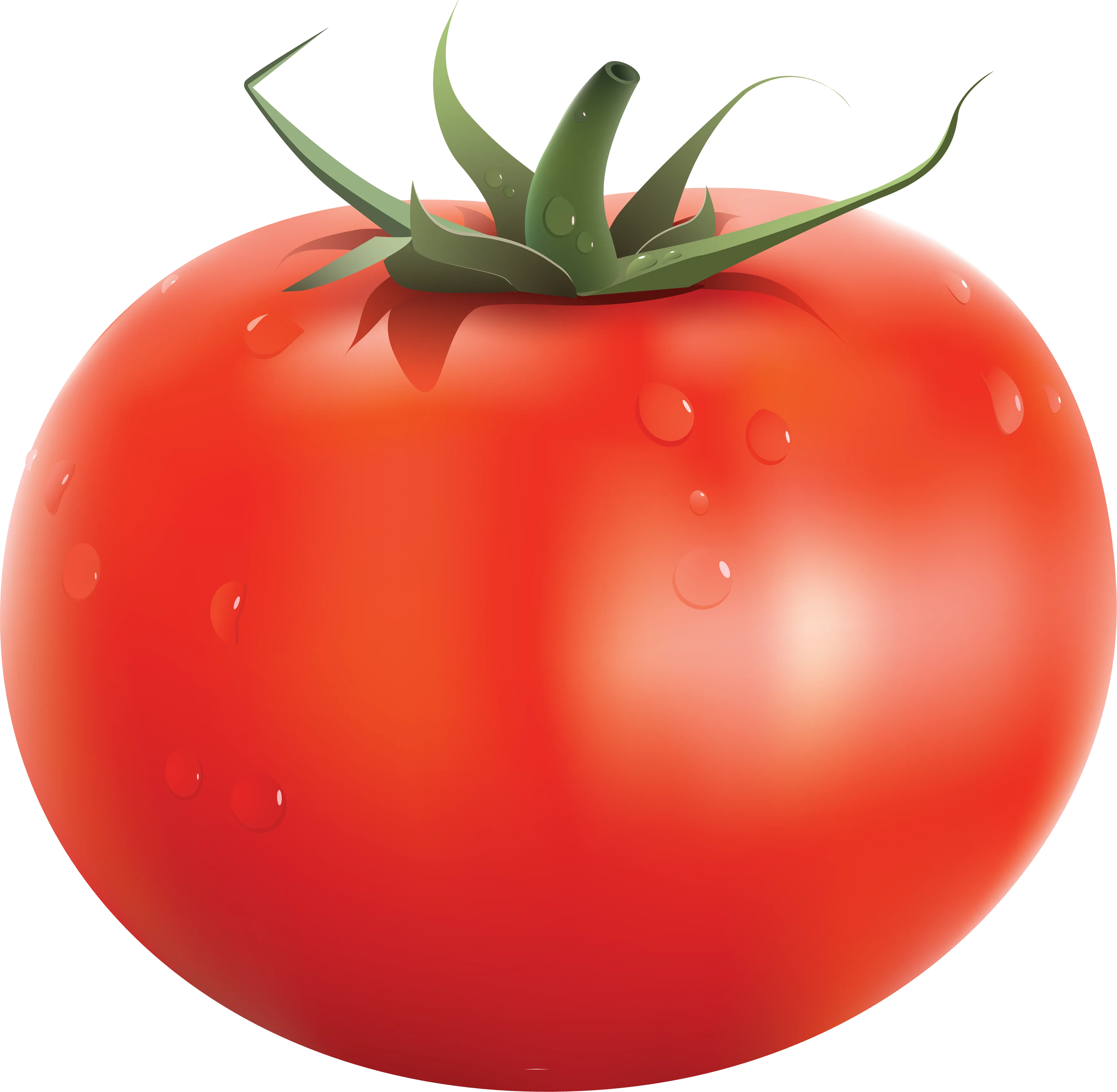 Tomato Png