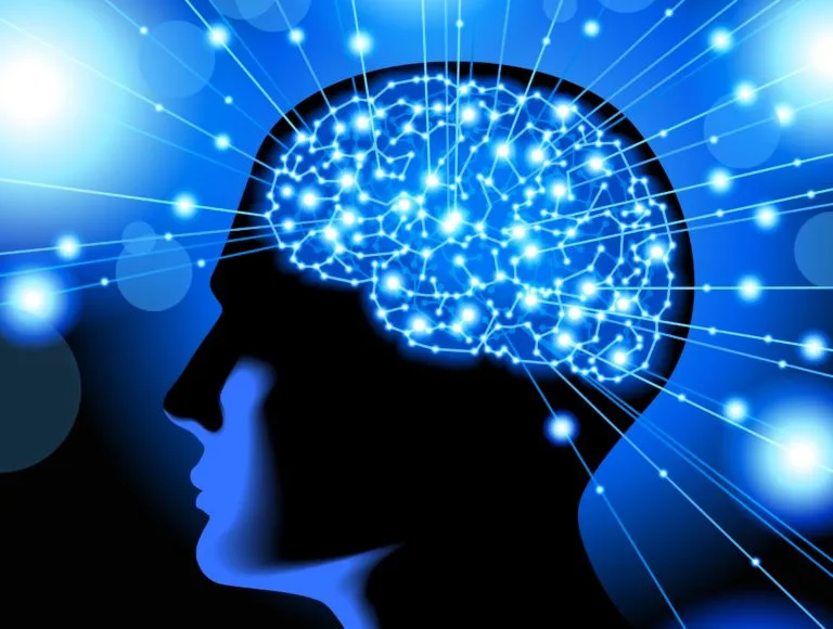 Top 10 Most Intelligent People In The World 2025 List Gazette Review