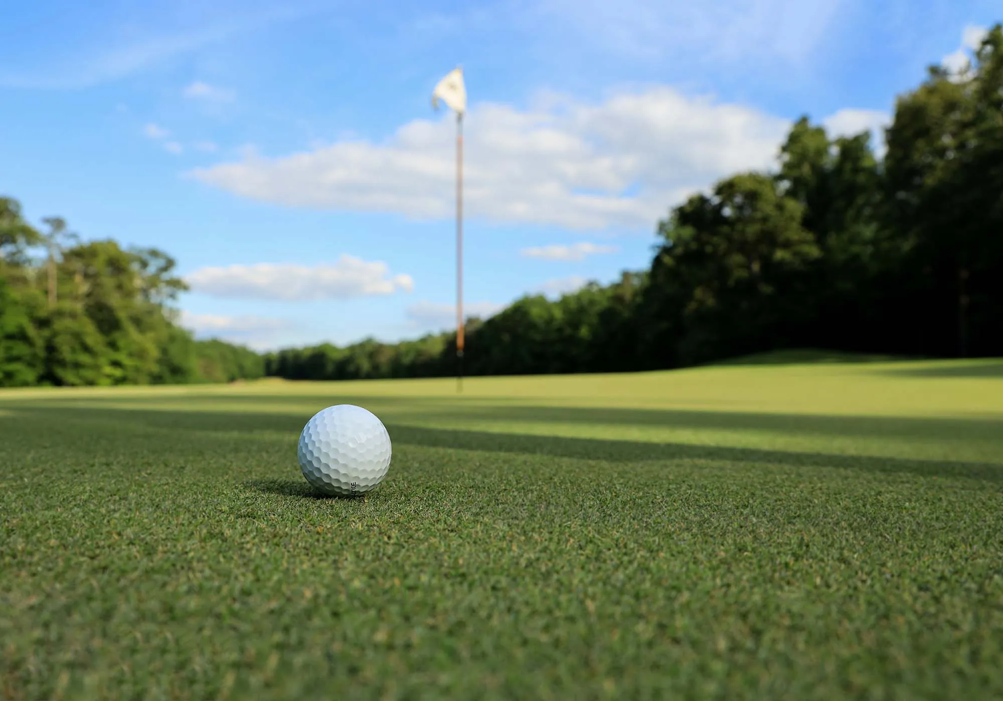 Top Golf Courses In Plattsburgh Ny The Point